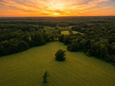 Unrestricted Hunting and Timber Tract