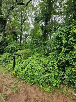 Decatur Buildable Residential Land