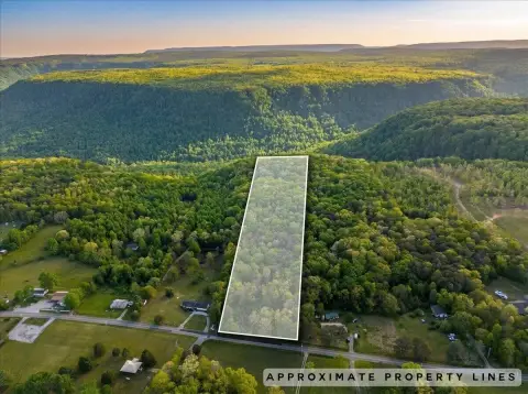 Sequatchie Mountain Land For Sale