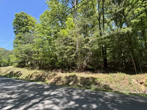 Wooded Lot in New Hope