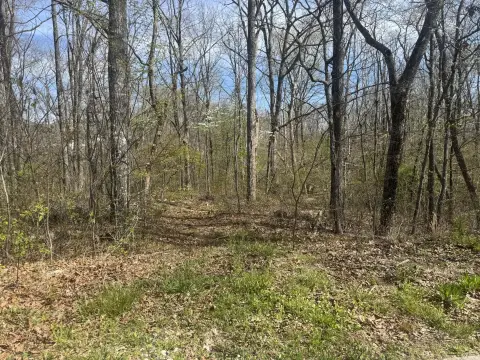 Signal Mountain Homesite in Signal Hills