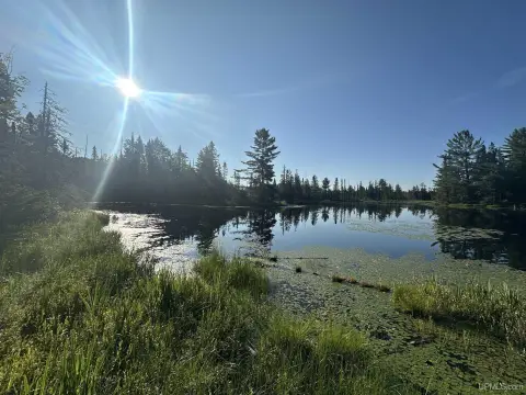 Wooded Waterfront Land