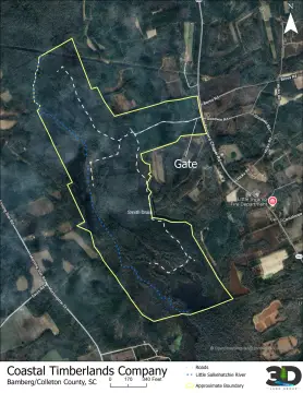 736 Acres Recreational Timberland Investment