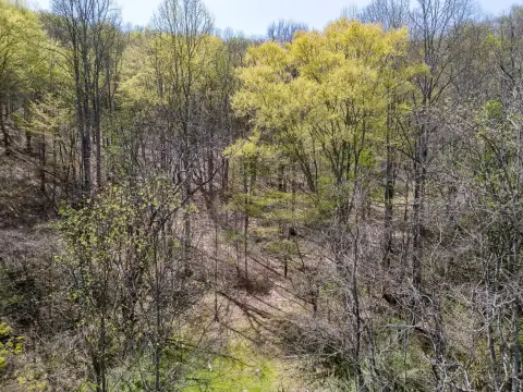 40.5 Acres in Hamlin, WV