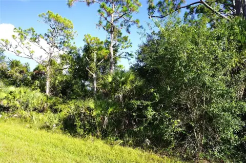Residential Land in Port Charlotte