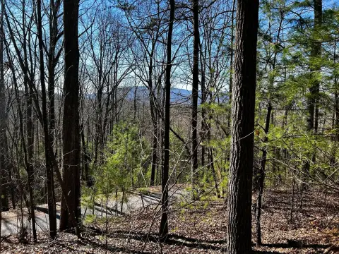 Mountain View Land Parcel