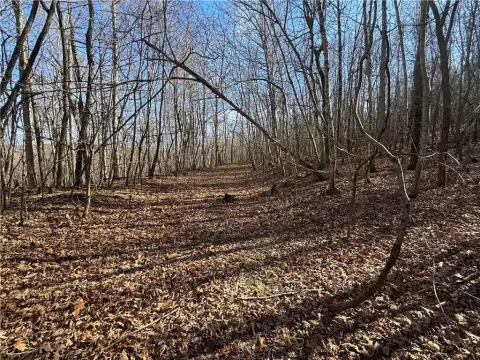 Compton, Arkansas 40-Acre Land