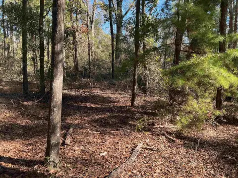Greenville, FL Land Parcel