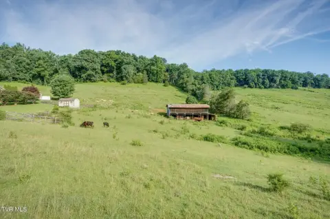 Rural Pasture Acreage with Woods