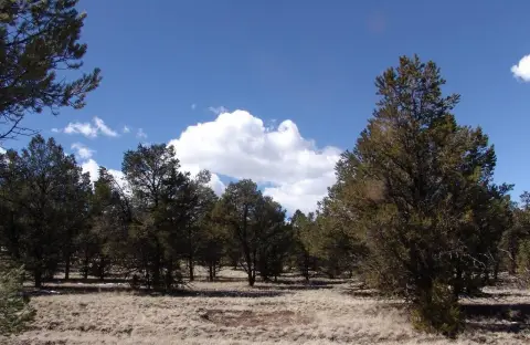 Off-Grid Cul-de-Sac Home Lot