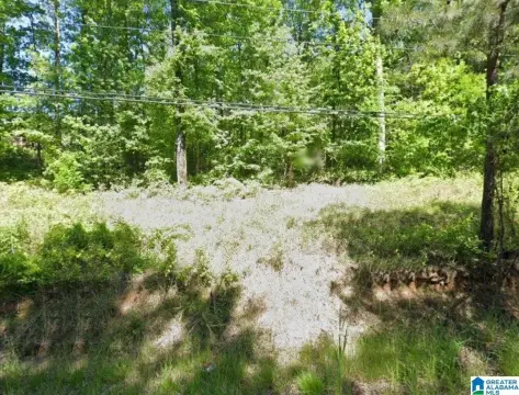 Commercial Lot Near I-459