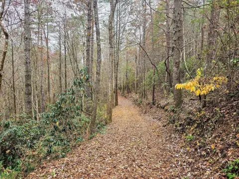 Unrestricted Land in Tellico Plains