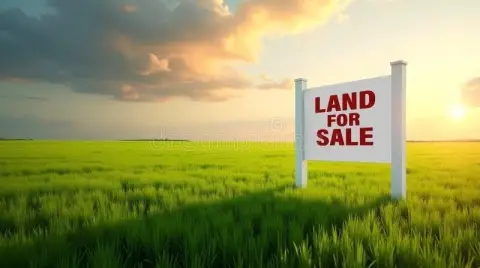 DeMotte Land Development Opportunity