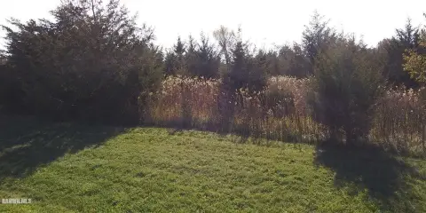 Land in Galena Territory