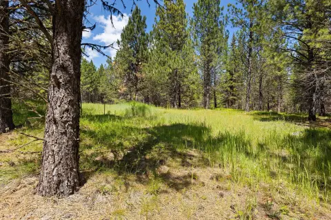 Timber and Meadow Recreational Land