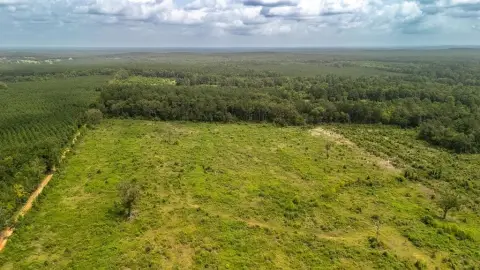 Unrestricted Hunting Land Tract