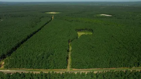 Wooded Hunting and Homesite Land