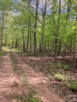 Ozark Hideaway Land For Sale