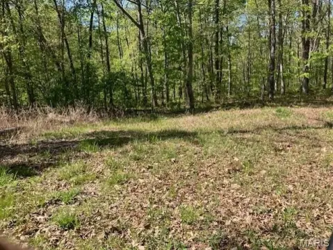 Ozark Hideaway Land For Sale