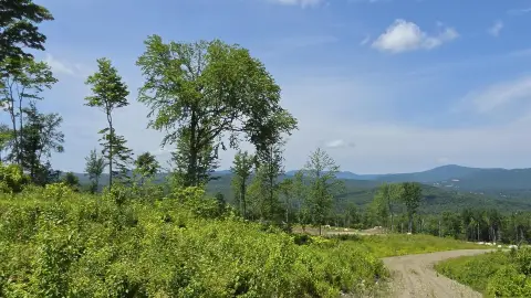 Residential Land Parcel with Level Site