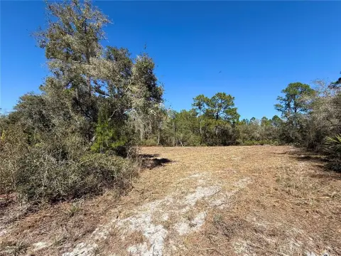 EUSTIS Homesite in Royal Trails
