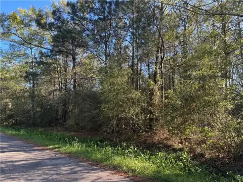 Wooded Lot in Bayou Oaks