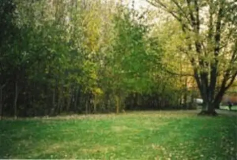 Wooded Lot Near Valparaiso