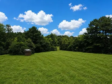 Agricultural Land with Pasture