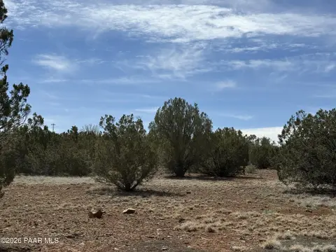 Land with Lake Privileges