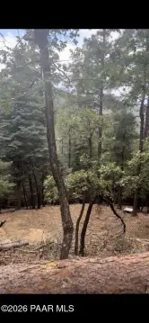 Residential Land in Prescott, AZ