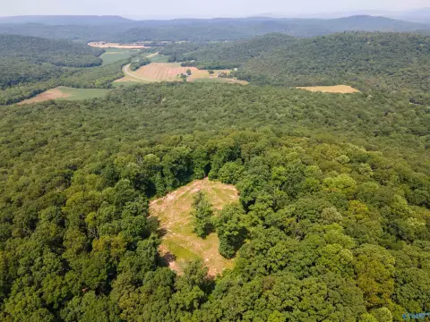 Hunting Land with Cabin Site