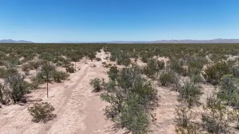 West Texas Vacant Land