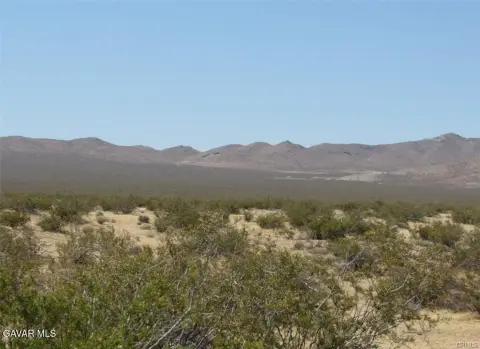 Land Parcel in Danby, CA