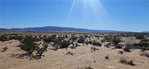 Joshua Tree Adjacent 5-Acre Parcel