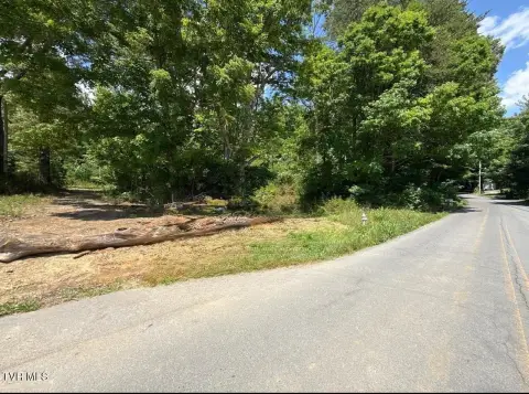 Recreational Land Tract with Road Access