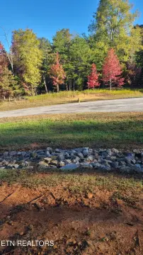 Rockwood, TN Building Lot