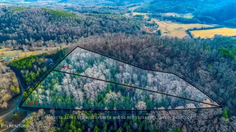 Private Mountain Homesite Near Tellico