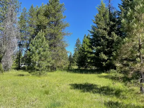 Wooded Waterfront-Access Land Parcel