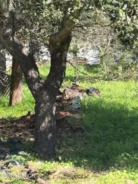 Residential Parcel in Coastal Cambria