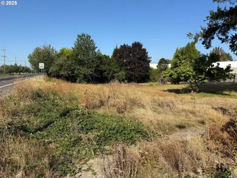 Commercial Land with 211-Foot Frontage