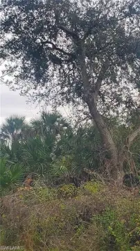 Residential Lot in Banyan Village