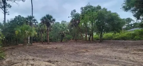 Cleared Lot in Banyan Village
