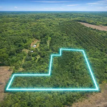 Wooded Unrestricted Land Tract