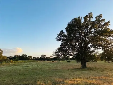 Water-Rich Cattle Ranch