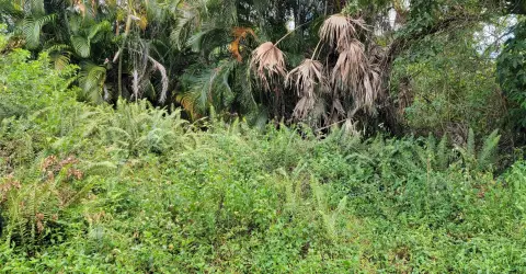 Acreage Parcel for Custom Development