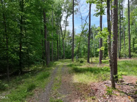Land Near Mayo Lake