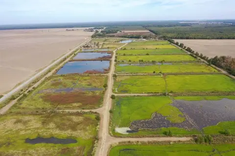 Crawfish Farm with Hunting Land