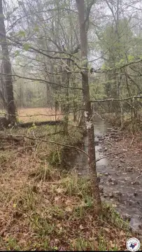 10 Acres of Land For Sale