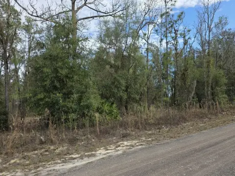Residential Lot in Ocala, Florida