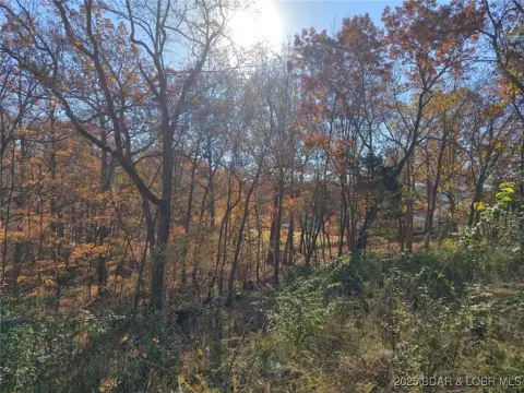 Wooded Land Near Lake Ozarks
